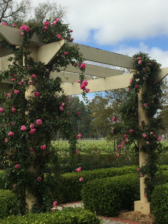 Bed and Breakfast Barossa House Танунда Екстер'єр фото