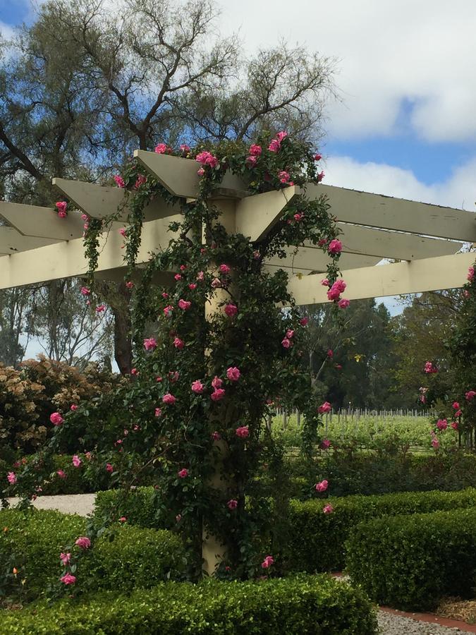 Bed and Breakfast Barossa House Танунда Екстер'єр фото